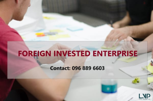 foreign invested enteprise