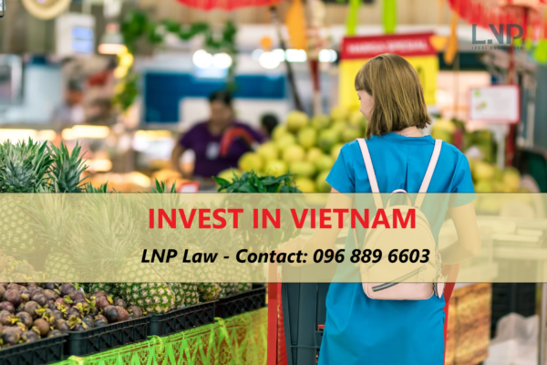 invest in Vietnam 