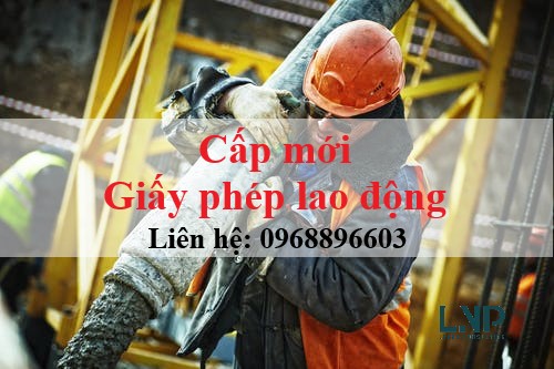 cap moi giay phep lao dong