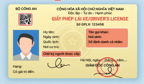 Giấy phép lái xe