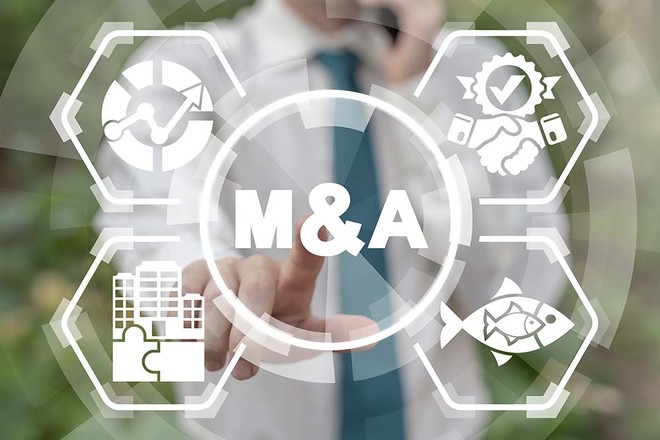 M&A