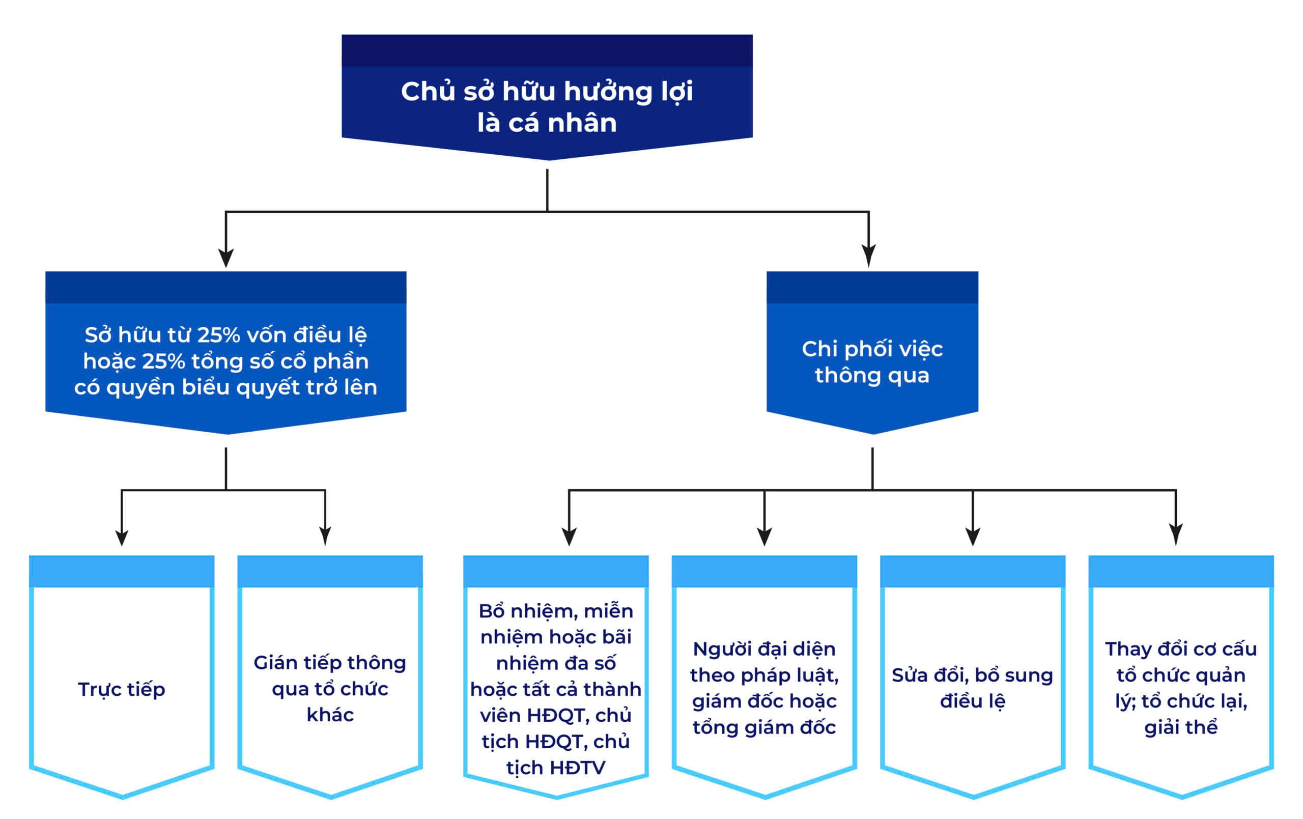 chu so huu huong loi