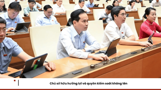 Chủ sở hữu hưởng lợi và quyền kiểm soát không tên