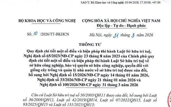 sở hữu trí tuệ