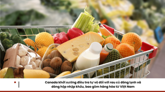 Canada khởi xướng điều tra tự vệ đối với rau củ đông lạnh và đóng hộp nhập khẩu, bao gồm hàng hóa từ Việt Nam