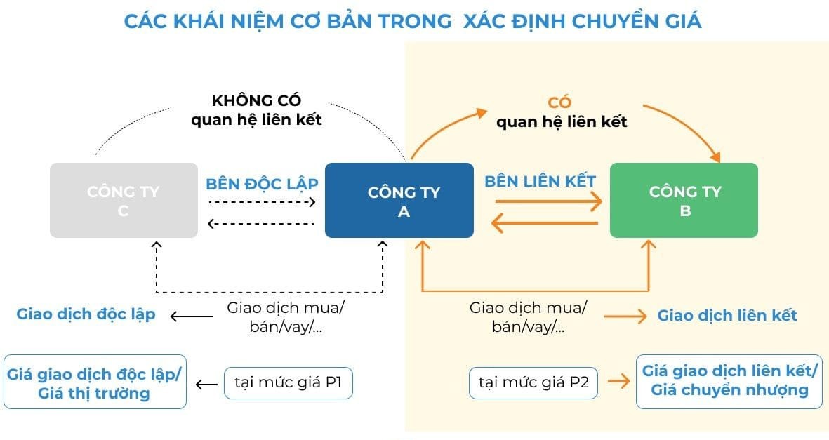 chuyen gia