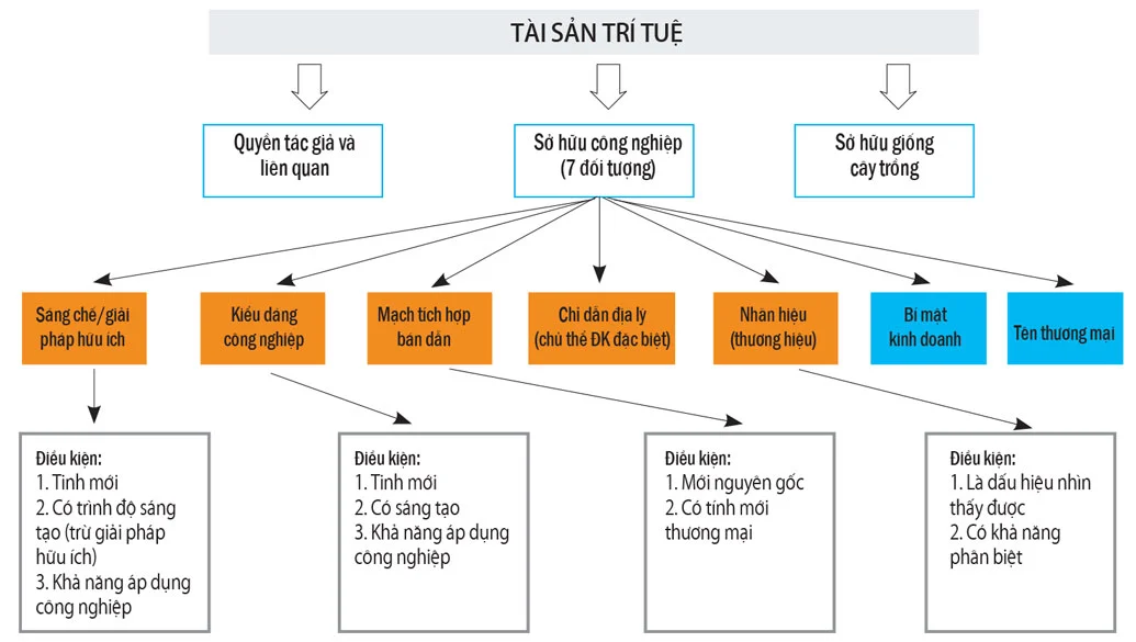 quyen tac gia